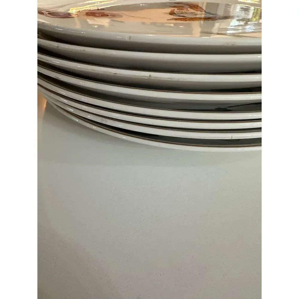 Vintage Ironstone World Finest Oven Proof Printed Plates Pack of 8 BBQ MCM 1950s
